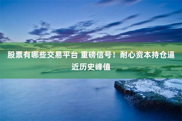 股票有哪些交易平台 重磅信号！耐心资本持仓逼近历史峰值