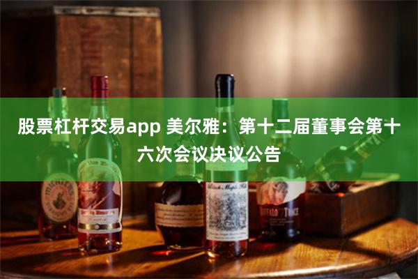 股票杠杆交易app 美尔雅：第十二届董事会第十六次会议决议公告