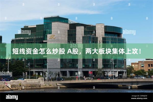 短线资金怎么炒股 A股，两大板块集体上攻！