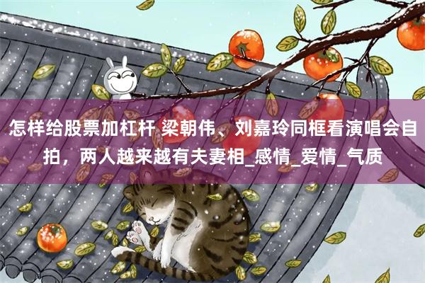 怎样给股票加杠杆 梁朝伟、刘嘉玲同框看演唱会自拍，两人越来越有夫妻相_感情_爱情_气质
