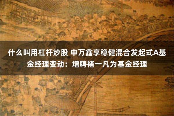 什么叫用杠杆炒股 申万鑫享稳健混合发起式A基金经理变动：增聘褚一凡为基金经理