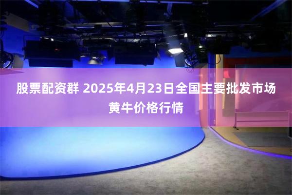股票配资群 2025年4月23日全国主要批发市场黄牛价格行情