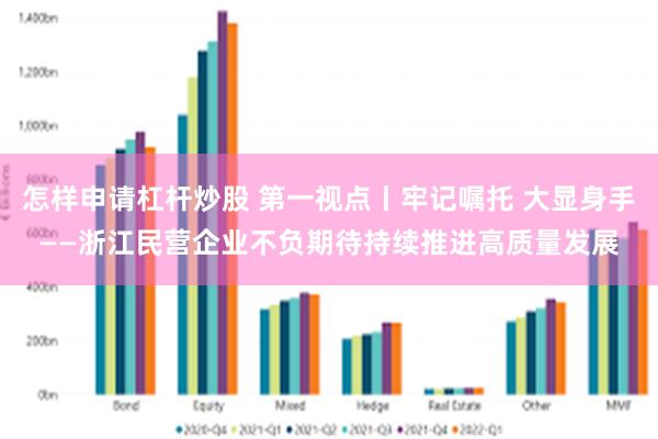 怎样申请杠杆炒股 第一视点丨牢记嘱托 大显身手——浙江民营企业不负期待持续推进高质量发展