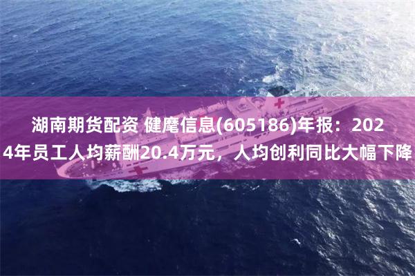 湖南期货配资 健麾信息(605186)年报：2024年员工人均薪酬20.4万元，人均创利同比大幅下降