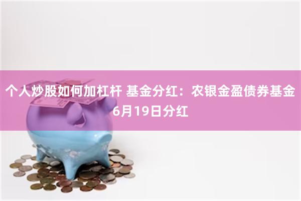 个人炒股如何加杠杆 基金分红：农银金盈债券基金6月19日分红