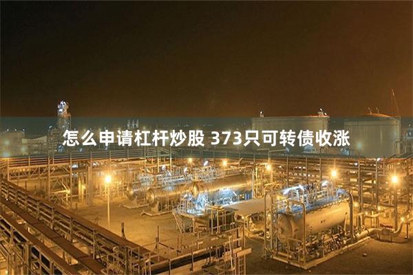 怎么申请杠杆炒股 373只可转债收涨