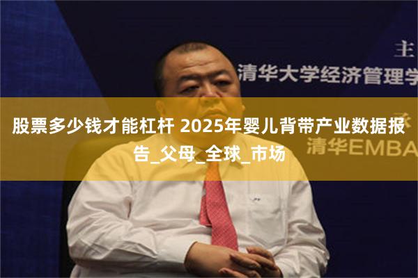 股票多少钱才能杠杆 2025年婴儿背带产业数据报告_父母_全球_市场