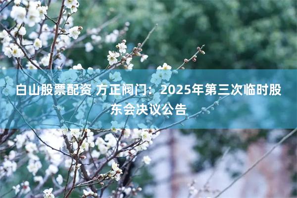 白山股票配资 方正阀门：2025年第三次临时股东会决议公告