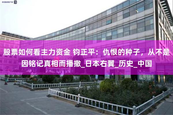 股票如何看主力资金 钧正平：仇恨的种子，从不是因铭记真相而播撒_日本右翼_历史_中国