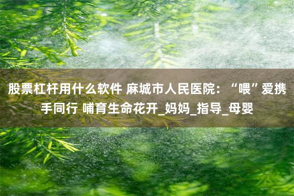 股票杠杆用什么软件 麻城市人民医院：“喂”爱携手同行 哺育生命花开_妈妈_指导_母婴