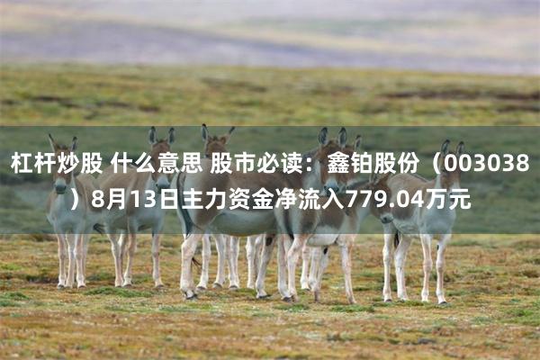 杠杆炒股 什么意思 股市必读：鑫铂股份（003038）8月13日主力资金净流入779.04万元