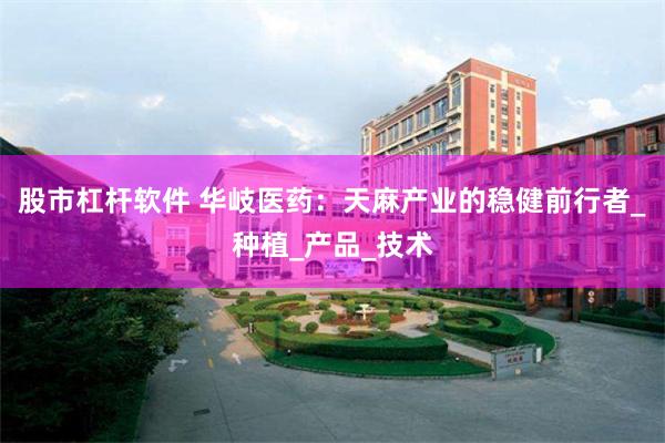 股市杠杆软件 华岐医药：天麻产业的稳健前行者_种植_产品_技术